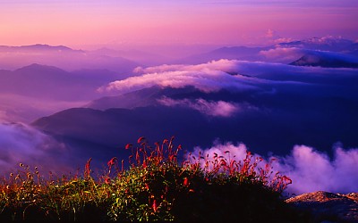 지리산의 여름