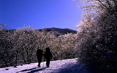 노고단 하산길에 뒤돌아서서 빙화역광