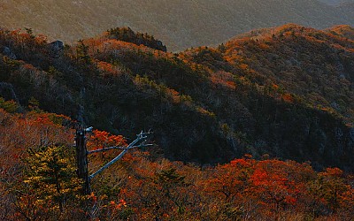 지리산