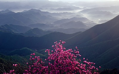 대둔산