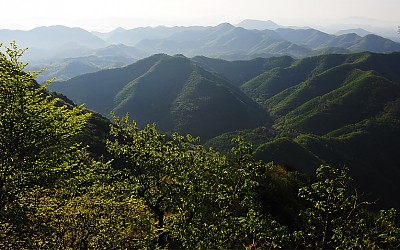 대둔산 신록