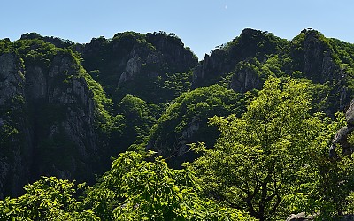 대둔산의 신록