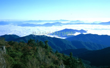 어느 여름날  중봉