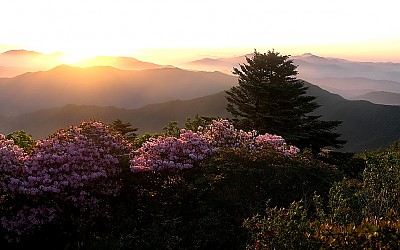 덕유는 지금.