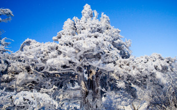 선배님들께 감사의 말씀드립니다.