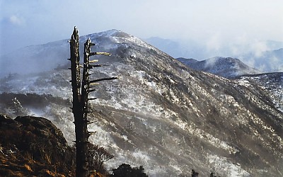 지난날에는..