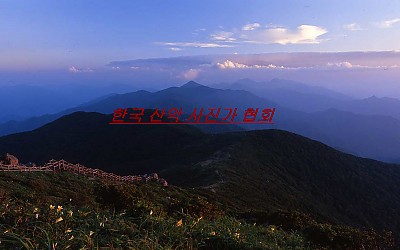 덕유산에 원추리.