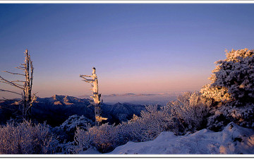 덕유산 주상목 일출-