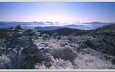 손가락이 얼던날