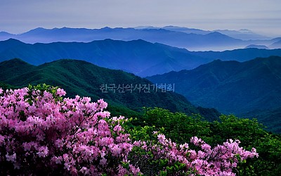 봄을 기다리며