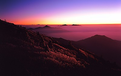 Crimson