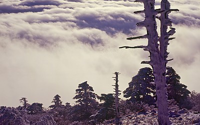 덕유산운해