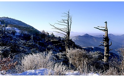 덕유산.1