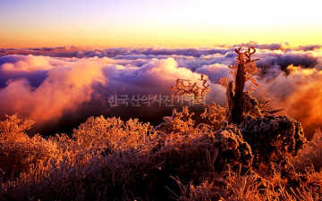 덕유산 곱창운해