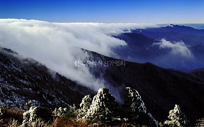 덕유산의 쓰나미