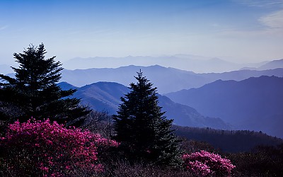 요즘 필름 스캔을 하고 있어요