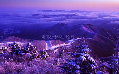 덕유산 보라빛 파노라마