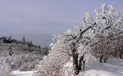 김기택 전문 촬영 포인트...