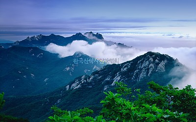 도봉산의 여름2