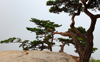 도봉산.