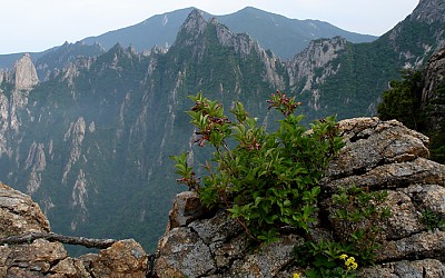 설악산....