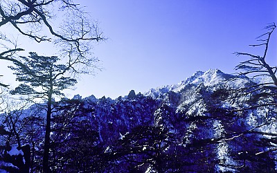 만물상