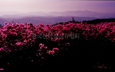 그 곳에가면.