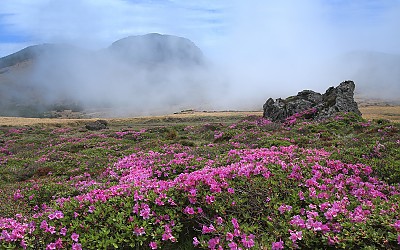 한라산 운무2