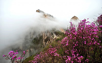 참~~~좋은산