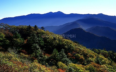 명선봉의 가을