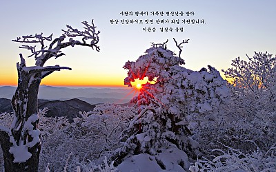 새해 복많이 받으세요