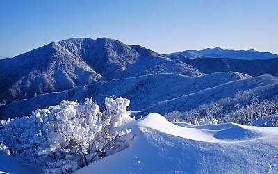 노고단의 겨울2