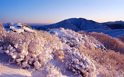 노고단의 겨울3