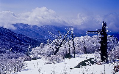지리산