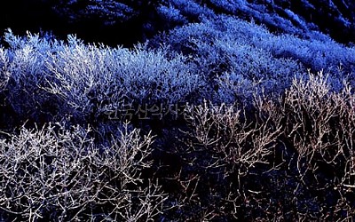 덕유산에서