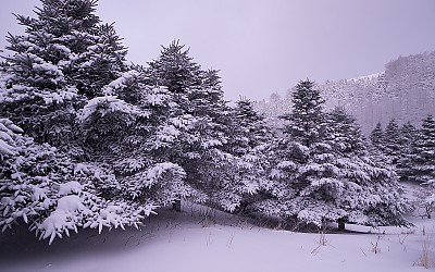 바래봉