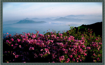 바람불던날 바래봉