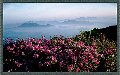 바람불던날 바래봉