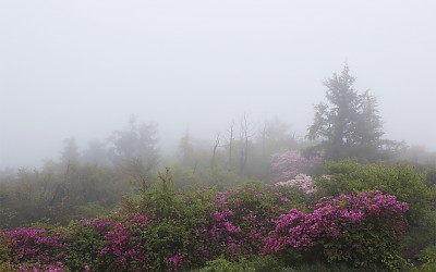 바래봉