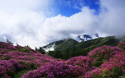 바래봉