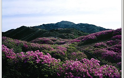 바래봉