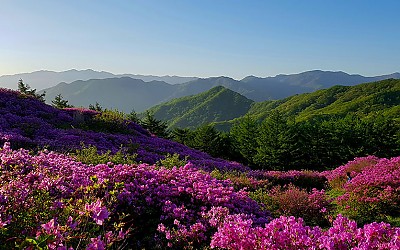 바래봉