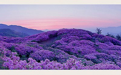 518 바래봉여명