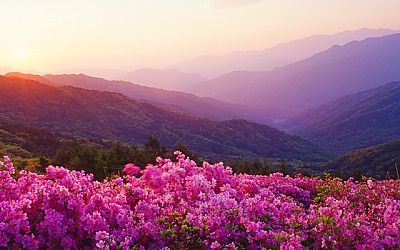 바래봉