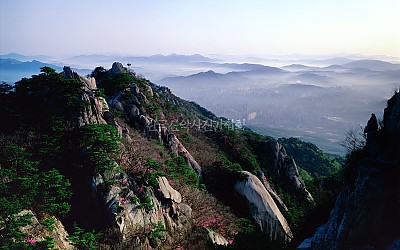 도봉산의 봄