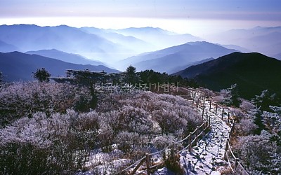 상고대 사이로 난 작은 길을 따라..(석찬 부이사장님  뽐뿌용,…