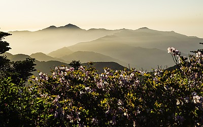 지리산의 봄