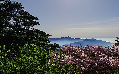 반야봉