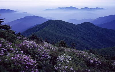 반야봉의 봄