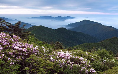 반야봉